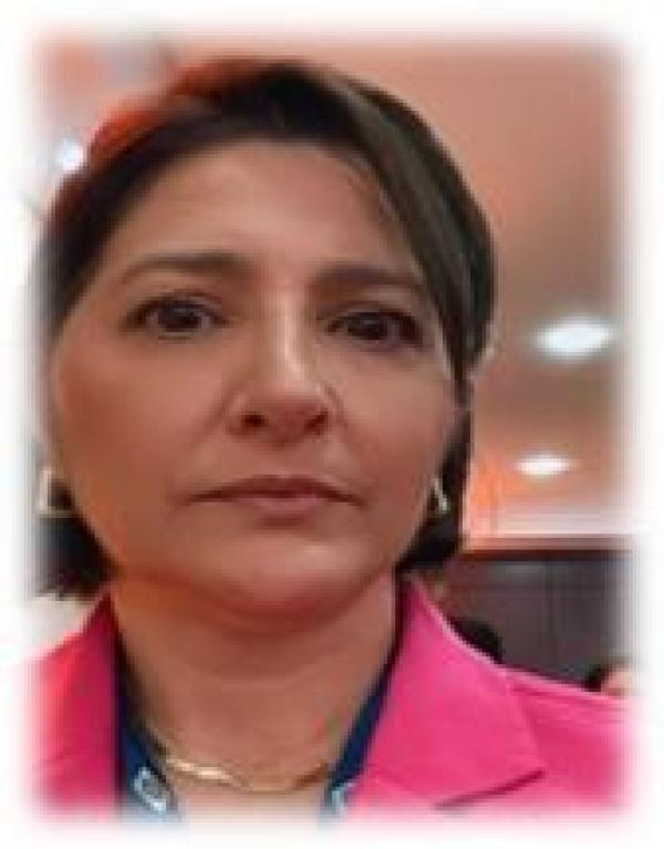 Diretora Executiva